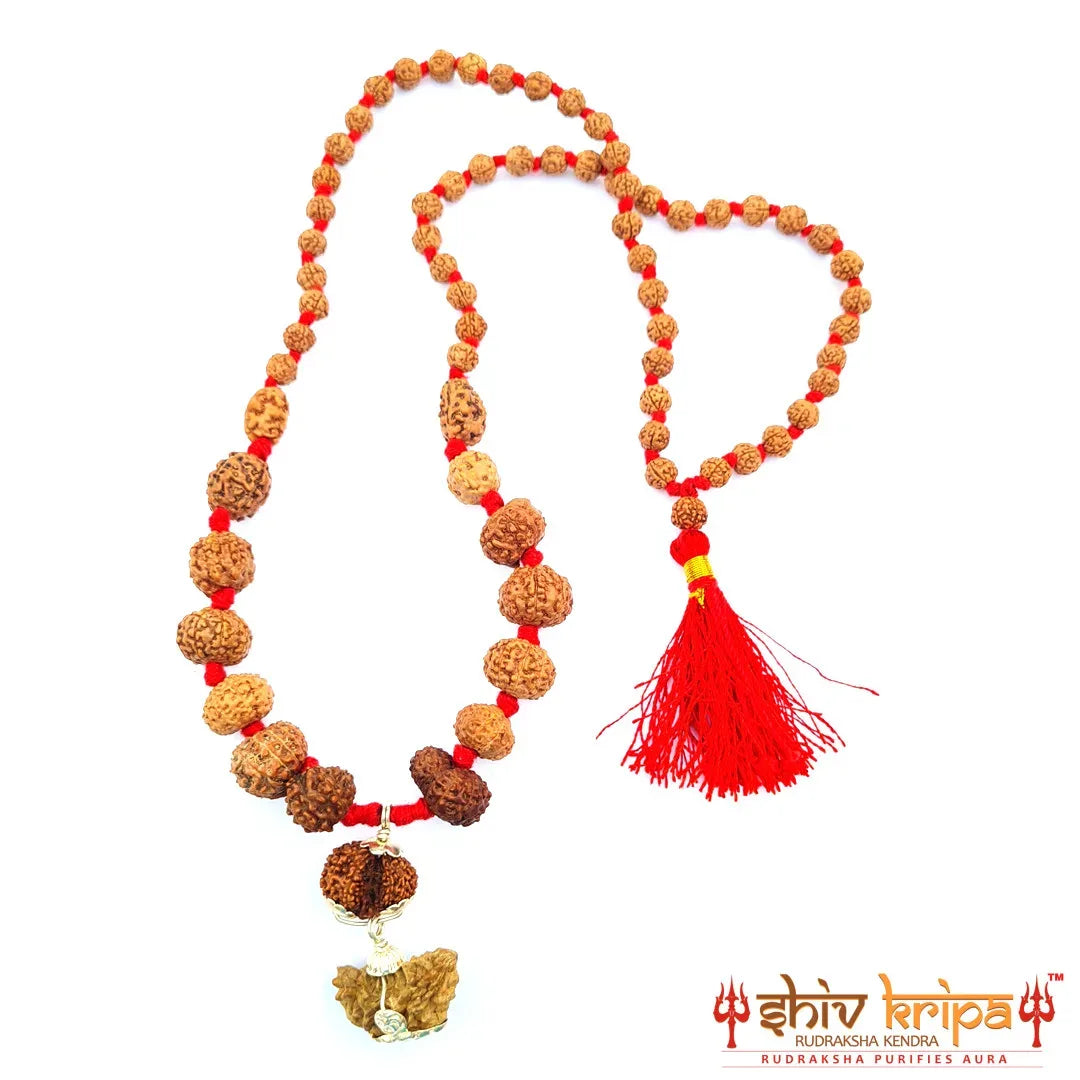 Rudraksha Sarv Siddha Mala