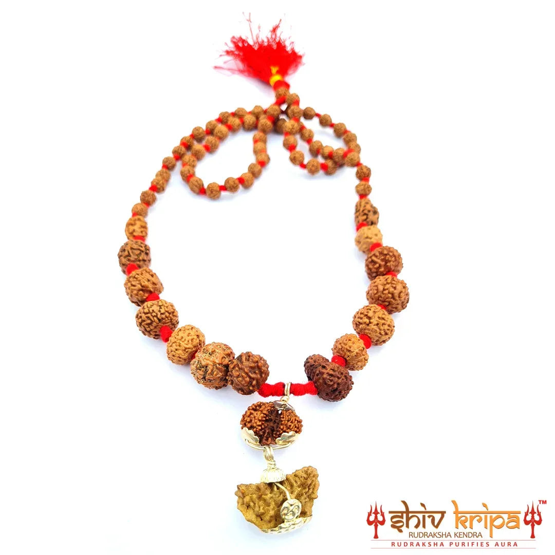 Rudraksha Sarv Siddha Mala