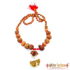 Rudraksha Sarv Siddha Mala