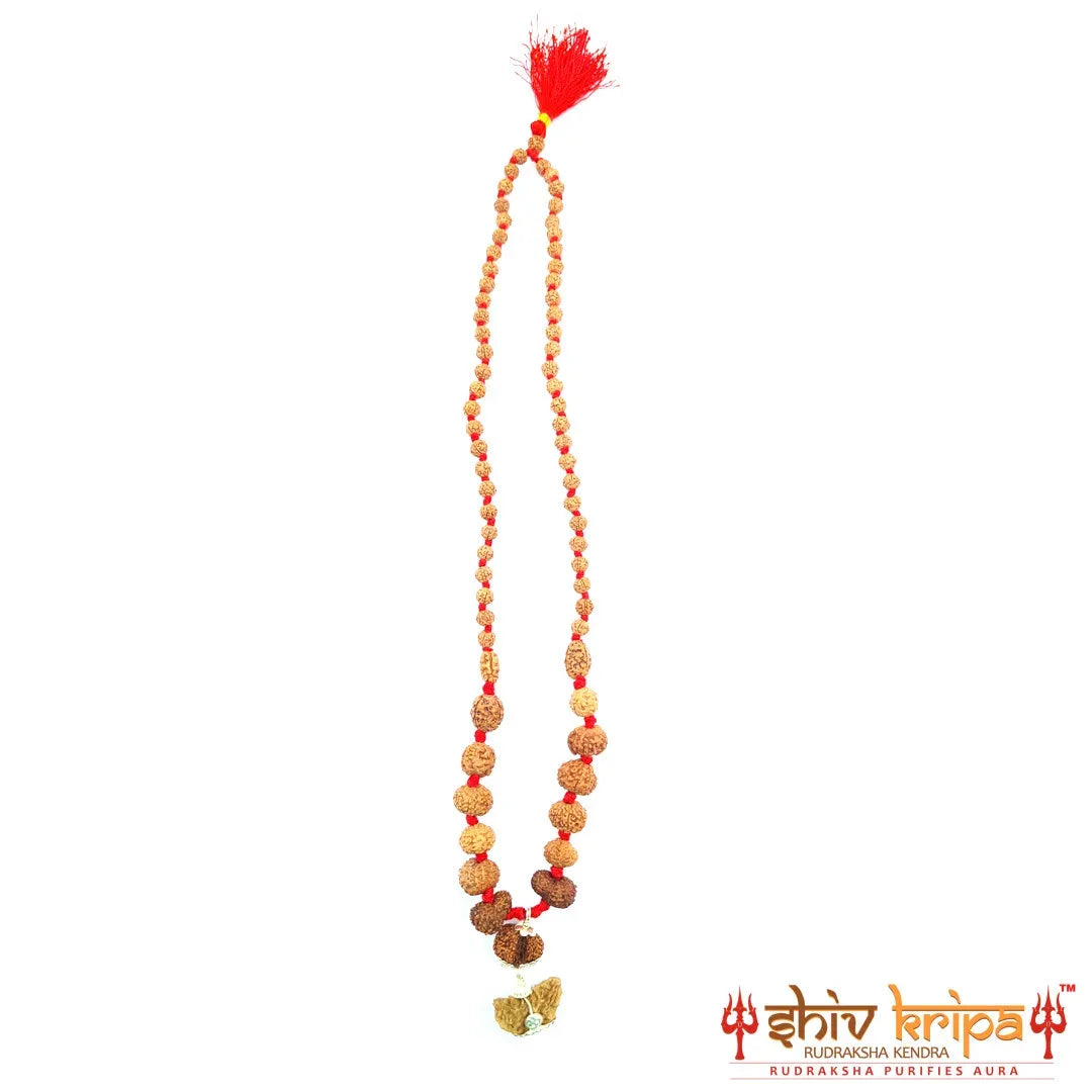 Rudraksha Sarv Siddha Mala