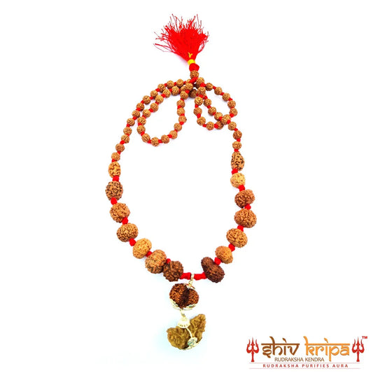 Rudraksha Sarv Siddha Mala