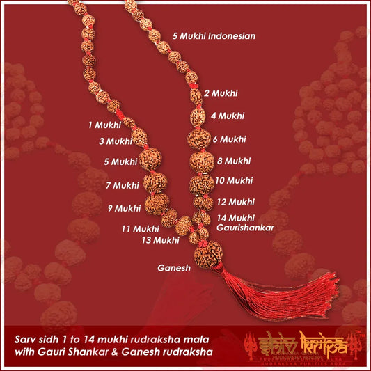 Sarv Sidh 1 to 14 mukhi Indonesia rudraksha mala with Gauri Shankar & Ganesh rudraksha