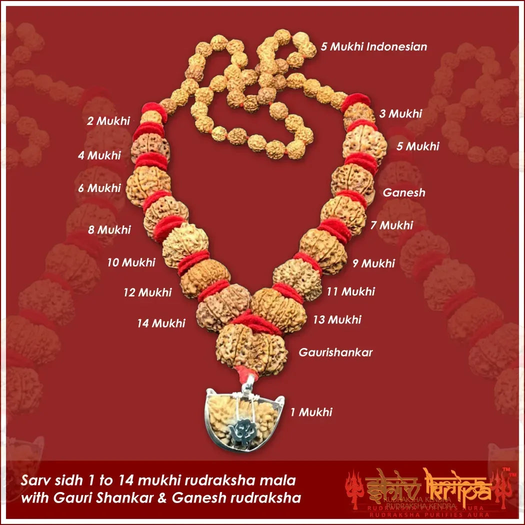 Sarv Sidh 1 to 14 mukhi rudraksha mala with Gauri Shankar & Ganesh rudraksha