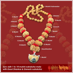 Sarv Sidh 1 to 14 mukhi rudraksha mala with Gauri Shankar & Ganesh rudraksha