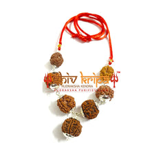 Rudraksha Combination For Business