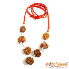 Rudraksha Combination For Business