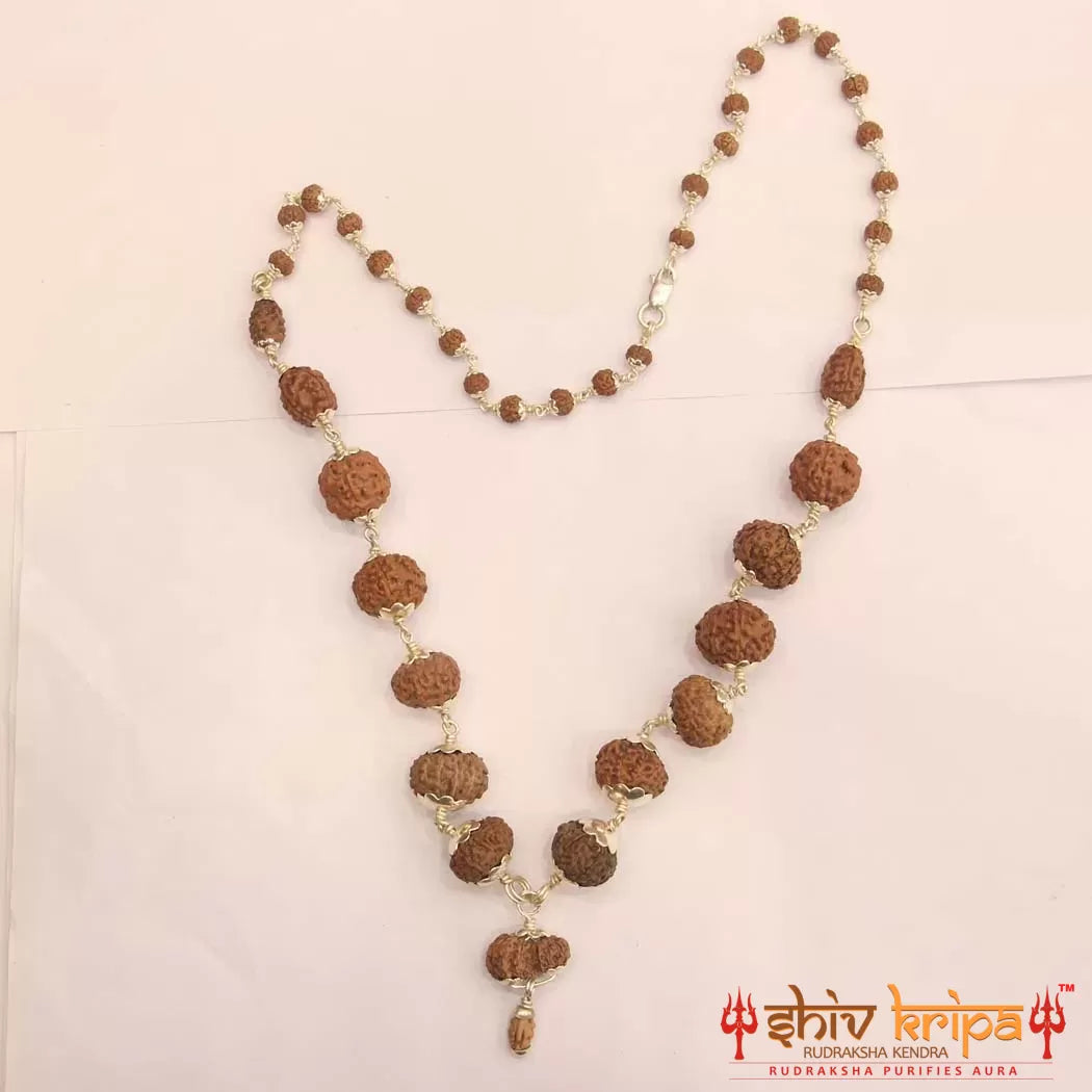 Sarv-Sidh 1 to 14 Mukhi with Gaurishanker and Ganesh Rudraksha