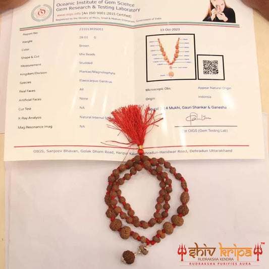 Sarv-Sidh 1 to 14 Mukhi Indonesia with Gaurishanker and Ganesh Rudraksha