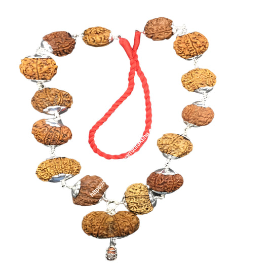 Sarv Siddha Rudraksha Mala Nepali