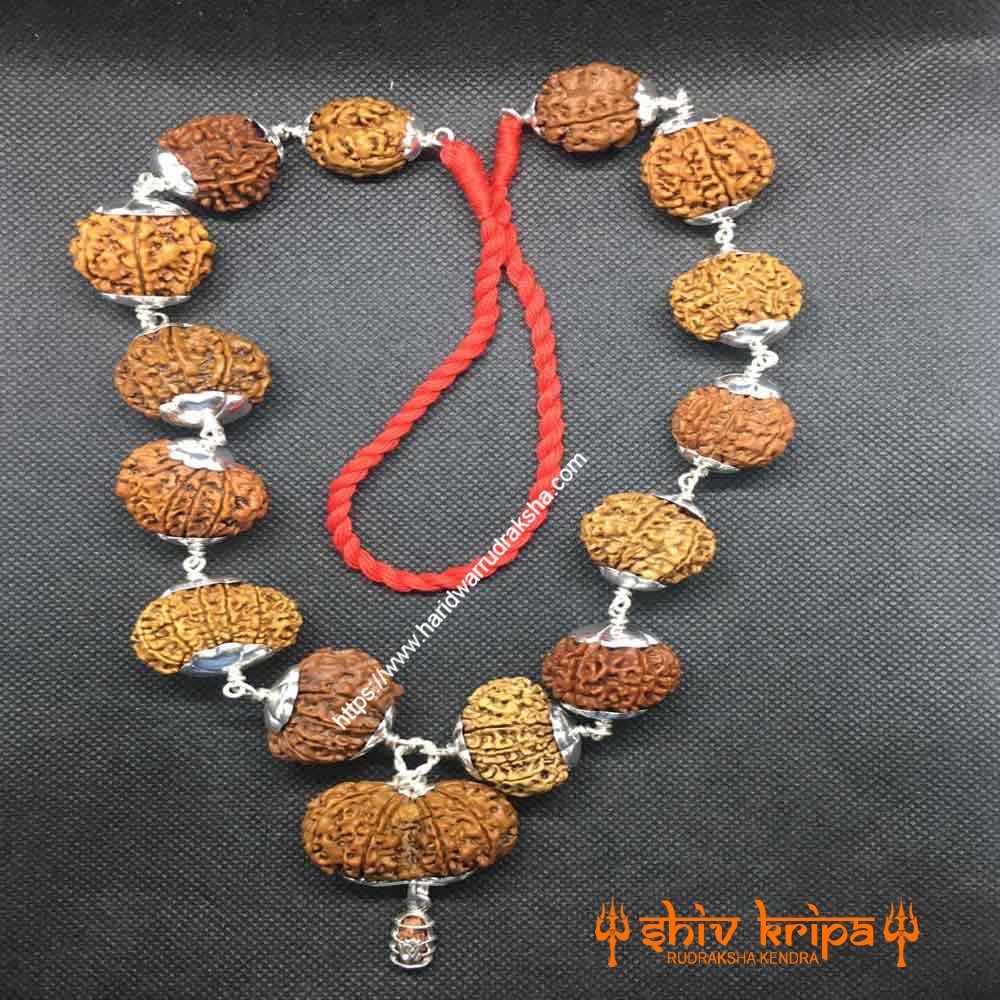 Sarv Siddha Rudraksha Mala Nepali