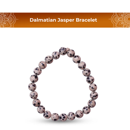 Dalmatian Jasper Bracelet