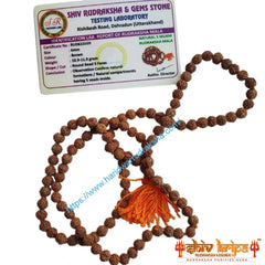 5 Mukhi Rudraksha Mala Nepali