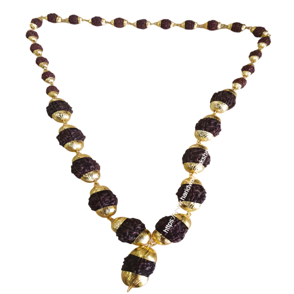 Rudraksha Kantha Mala with 11 Pcs 5 Mukhi Rudraksha in Golden Capping