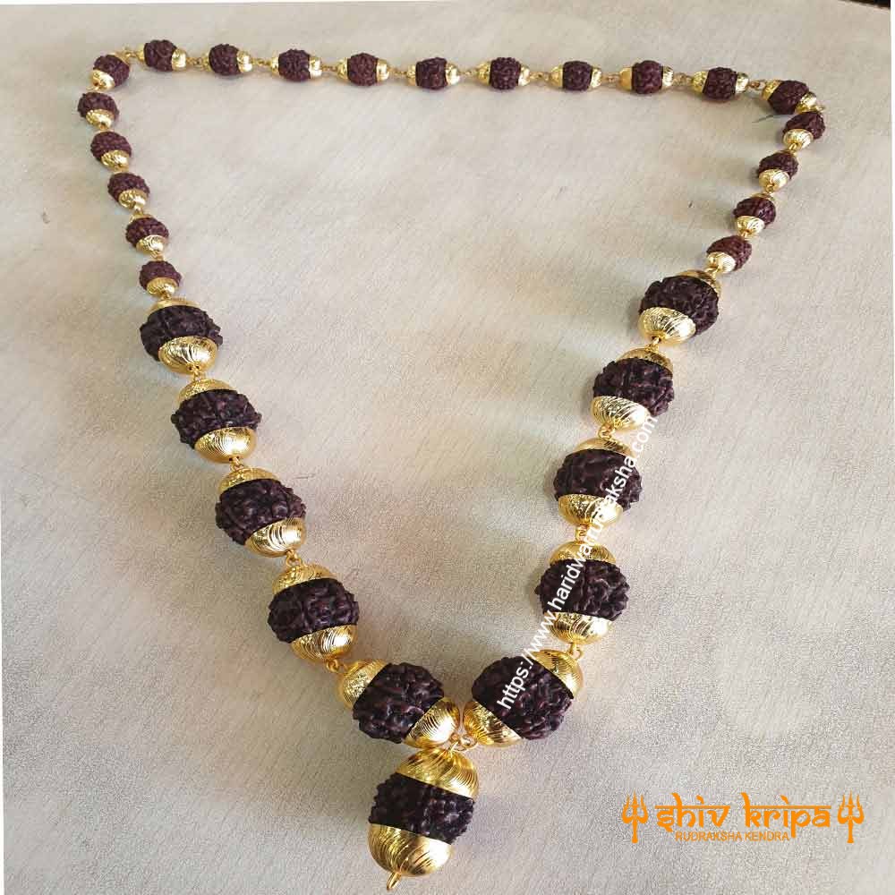 Rudraksha Kantha Mala with 11 Pcs 5 Mukhi Rudraksha in Golden Capping