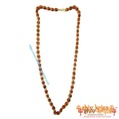 5 Mukhi Rudraksha Beads Brass Mala