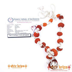 Rudraksha Mala in Pure Silver