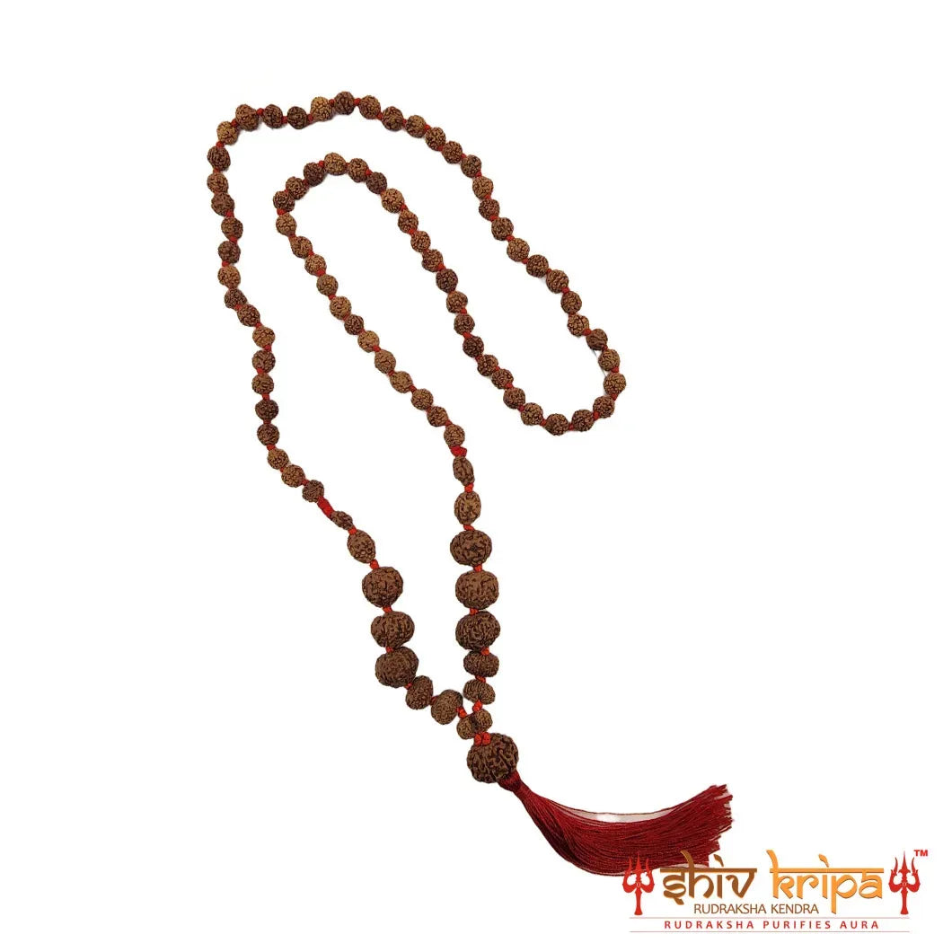 Sarv Sidh 1 to 14 mukhi Indonesia rudraksha mala with Gauri Shankar & Ganesh rudraksha