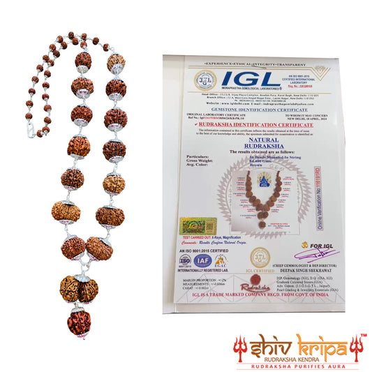 1-14 Muki Nepali Rudraksha Sarv Sidha Mala