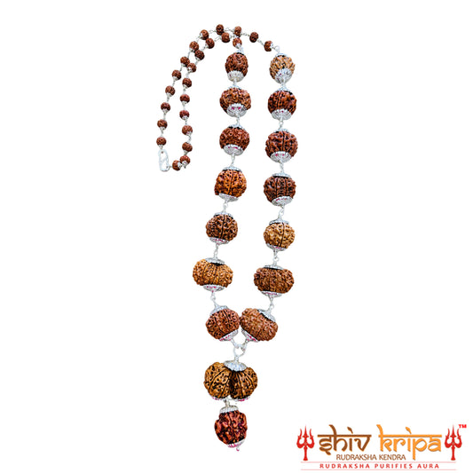 1-14 Muki Nepali Rudraksha Sarv Sidha Mala