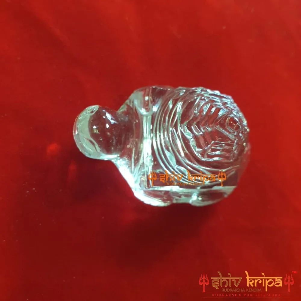 Crystal stone Shree Yantra on Tortoise two hundred five gram