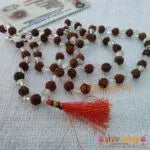 Rudraksha and Sphatik Mala 54+54+1=109 Beads